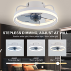 LumiBreeze LED Ceiling Fan Light