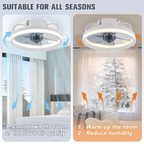 LumiBreeze LED Ceiling Fan Light